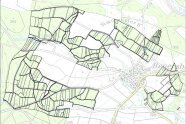 Reyersbach: Flurkarte mit Einteilung der zusammengelegten Flächen nach der Neuordnung