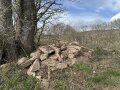 Haufen voller Steine neben einem Baum