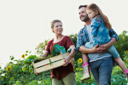 Familie auf einem Gemüsefeld mit Kind. 